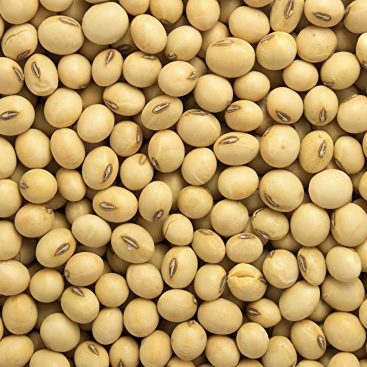 Soybean-Seed