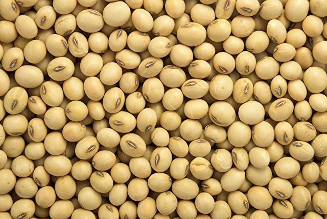 Soybean-Seed